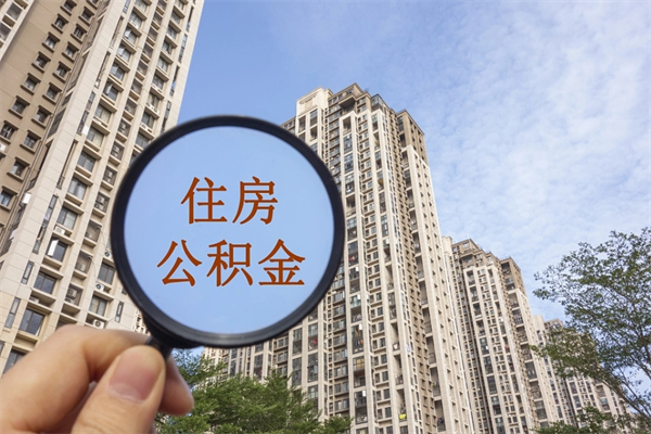 高安深圳公积金（深圳公积金首页）